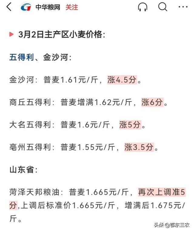 山东小麦价格行情最新分析