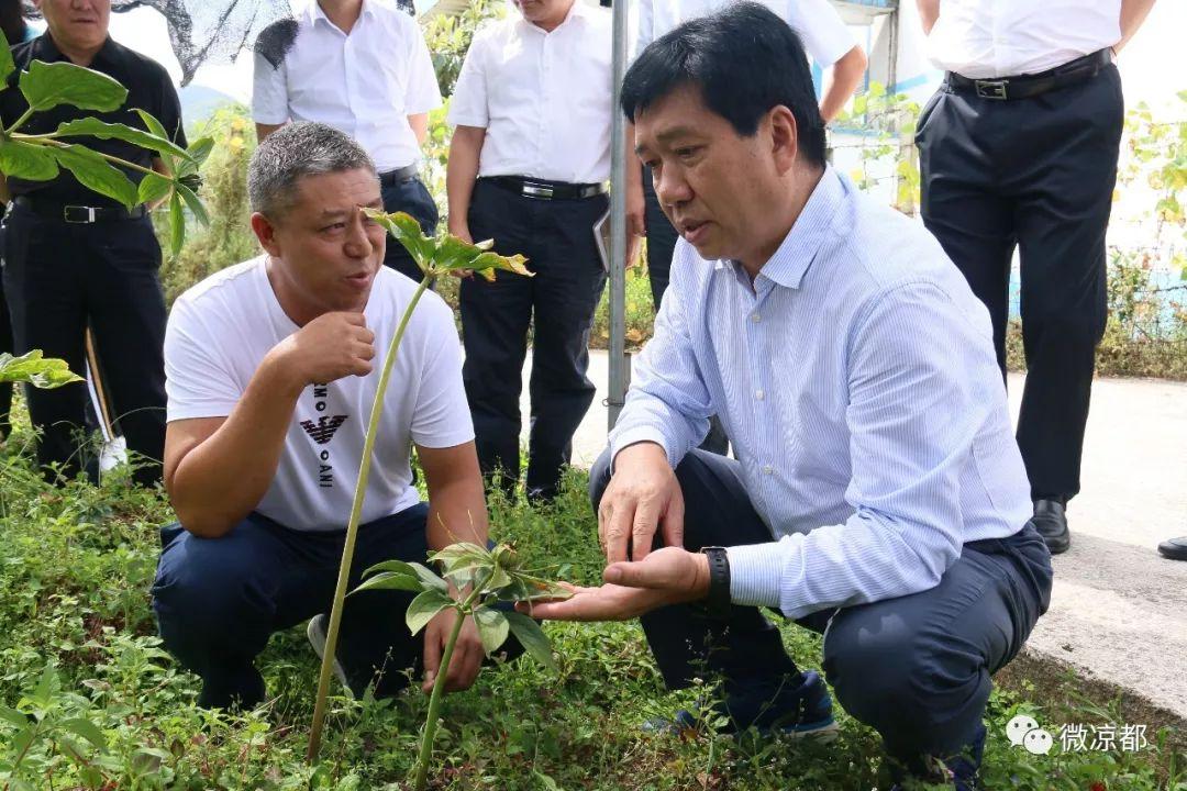 盘州最新发展动态与亮点发布，引领地区前进之路