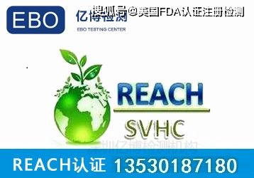 REACH法规深度解析，涵盖要素、重要性及具体涵盖多少项内容探讨